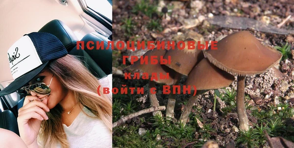 стаф Абаза
