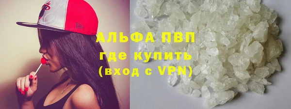 стаф Абаза