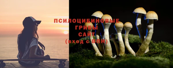 спиды Абинск