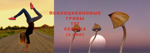 таблы Няндома
