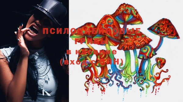 стаф Абаза