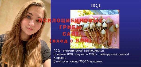 таблы Няндома