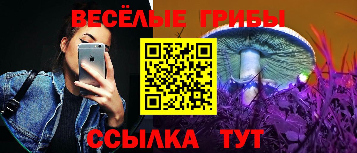 где продают наркотики  Вход с VPN  Моршанск  Псилоцибиновые грибы Psilocybine cubensis 